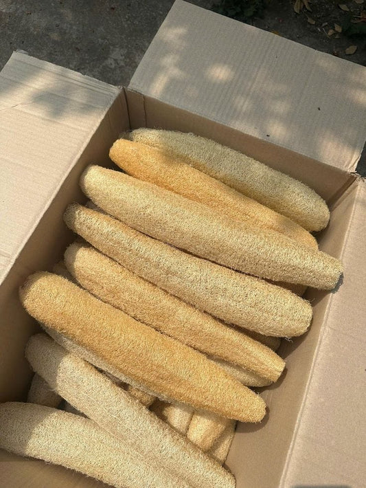 organic loofah